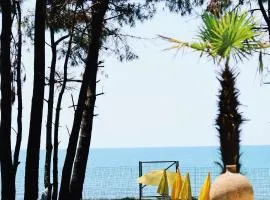 OXYGEN Shekvetili
