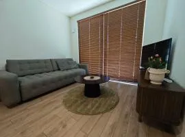 NT Zitkus apartamentai