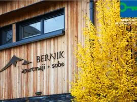 Apartments and Rooms Bernik