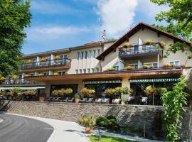 Hôtel Restaurant Logis Auberge Sundgovienne, hotel v destinaci Carspach