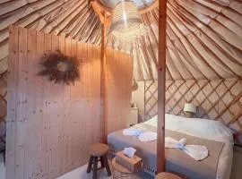 Glamping Iurte Mongole Spiritul Zimbrului