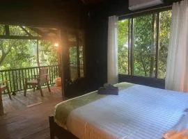 Singing Frogs Jungle Stay