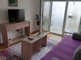 Cozy Apartment with Private Garage - Walk to City Center