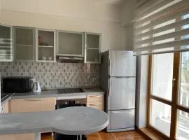 2 Bedroom Condo near Sukhbaatar square