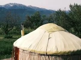 Nomad Yurt, 60 year old