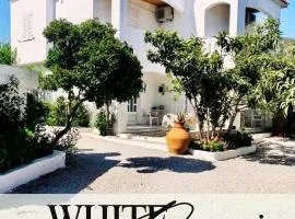 White Oasis Samos-Retreat