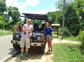 Wilpattu national park forest buma lodge