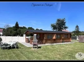 Chalet en Sologne à Villefranche sur Cher