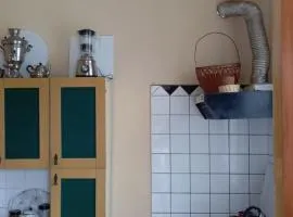 Раиский угалок