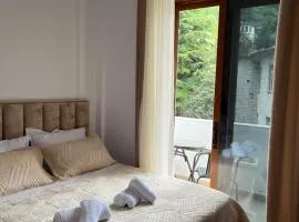 Castle View Apartment