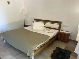 Pensiunea Fratii Pasca