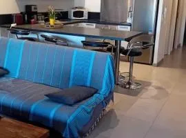 Bel appartement Spacieux