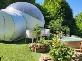 Les Bulles Du Coq De Champagne