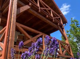 Domki pod Brzózką, prázdninový dům v destinaci Prażmowo