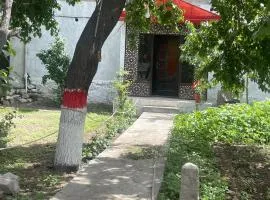 Istanbul Guest House Skardu