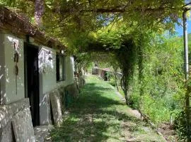 Tra Fiori e Antichità