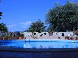 Villa surrounded by nature with private swimming pool - in complete relaxation
