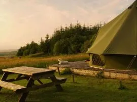 Moleshill Retreat Wild Spa and Glamping space