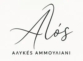 Alos 2
