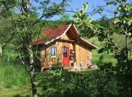Sonniges-naturnahes-Schwarzwald-Ferienhaeuschen
