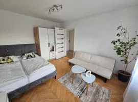 Downtown cozy apartment with free parking