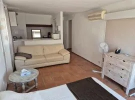 Villa in Le Luc with Pool & Vineyard Views