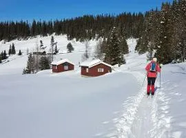 Authentic Cabin Near Risgrånnbakken