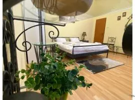 No1 Balcescu Studio Sibiu