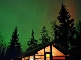 Ål Cabin With Panoramic Views