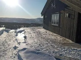 Mountain Cabin With A View Over Jotunheimen