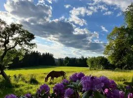 Ferienhaus Zopfhäusl