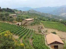 Stone Cottages Among Olive Groves In Liguria