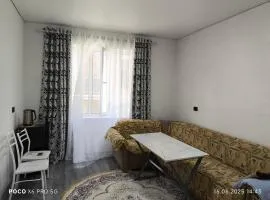 Twin House