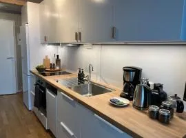 Studio apartment at Narvikfjell, free parking