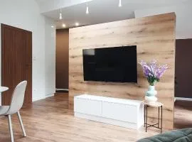 Willa Matejki - Apartament 8b