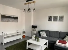 Confortable Appartement près de Metz pour 6 personnes