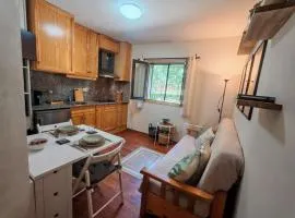 Estudio con piscina en verano - Herbasabina 2