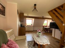 Apartament Pod Ostryszem, hôtel à Dzianisz