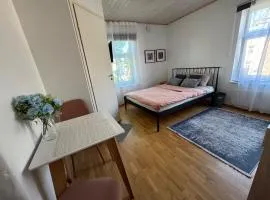 Laura comfy city apartment studio Kappeli 8-2 near Tallinn airport, next to the bus station