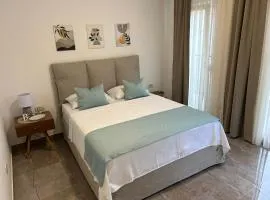 Casa M- Studio #2 - Brand New
