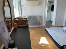 Apartment with large terrace in Barrière de Toulouse