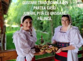 Cris & Mona, hotel v destinaci Săpînţa