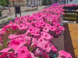 Affittacamere Fiocco di Neve, hotel v mestu Tarvisio