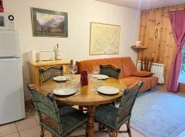 Appartement T2 avec jardinet proche du centre, Wi-Fi, garage - FR-1-624-61