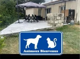 petit coin de paradis en camargue entre Aigues mortes et les saintes maries de la mer, animaux bienvenus