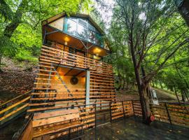 Chalet Nune, hotel v destinaci Makhunts'et'i