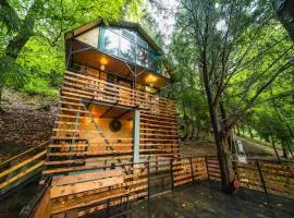 Chalet Nune
