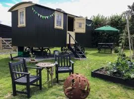Beeches Shepherd Hut