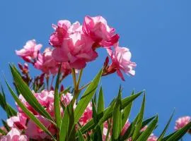 La Garonnette - 150m de la plage