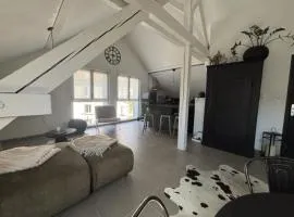 Appartement atypique lumineux